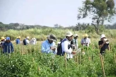 國(guó)外鄉(xiāng)村旅游開發(fā)模式及案例解析 種植技術(shù)開發(fā)的創(chuàng)新路徑