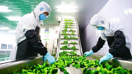 張掖市科學(xué)技術(shù)局推動(dòng)種植技術(shù)開發(fā)，助力農(nóng)業(yè)現(xiàn)代化轉(zhuǎn)型