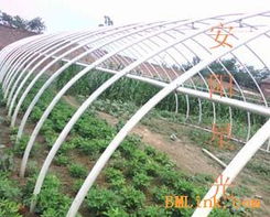供應(yīng)新型大棚支架 安陽星光種植技術(shù)開發(fā)引領(lǐng)農(nóng)業(yè)現(xiàn)代化