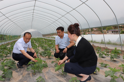 黨建引領(lǐng)促發(fā)展 技術(shù)扶貧暖人心——蘭州高新區(qū)“兩新”組織黨委攜手愛(ài)心企業(yè)開展“支部結(jié)對(duì)共建、助力脫貧攻堅(jiān)”主題黨日活動(dòng)側(cè)記